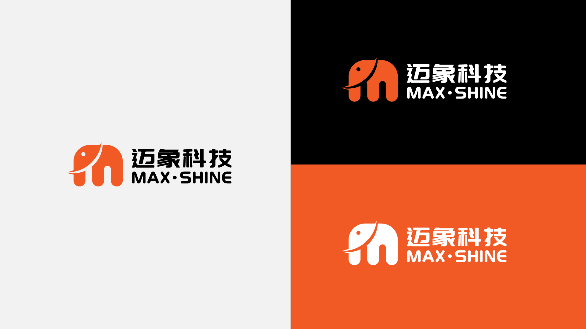 maxshine logo (2)