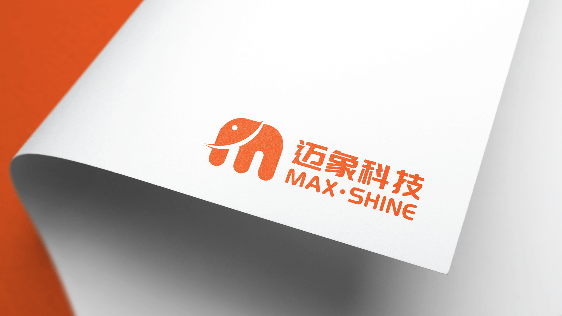 maxshine logo (7)